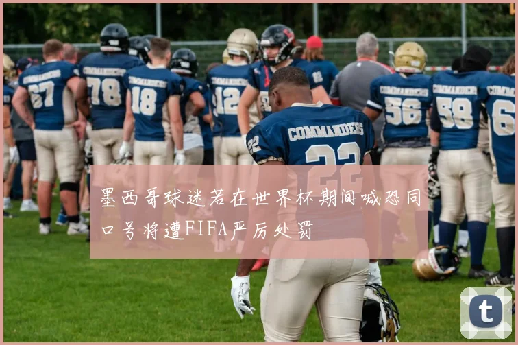 墨西哥球迷若在世界杯期间喊恐同口号将遭FIFA严厉处罚